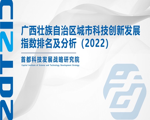 Free性XXXXⅩ【成果发布】广西壮族自治区城市科技创新发展指数排名及分析（2022）